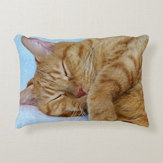 寝猫 アクセントクッション (正面)