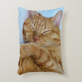 寝猫 アクセントクッション (正面(垂直))