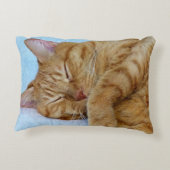 寝猫 アクセントクッション (裏面)