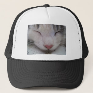寝猫 キャップ