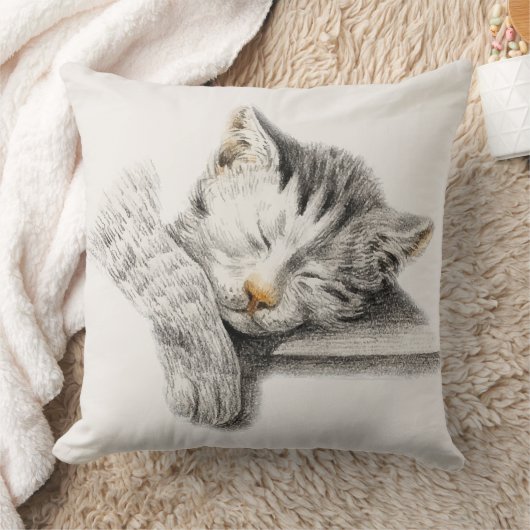 寝猫 クッション (ブランケット)