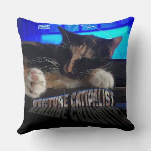 寝猫 クッション (裏面)