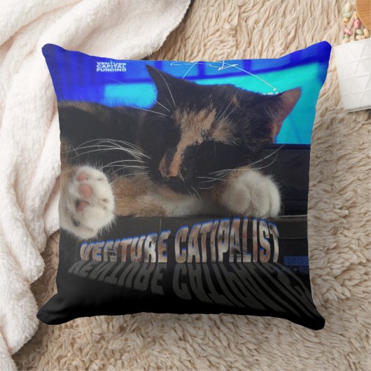 寝猫 クッション (ブランケット)