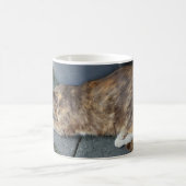 寝猫 コーヒーマグカップ (中央)