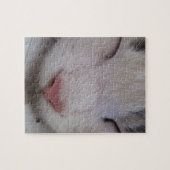 寝猫 ジグソーパズル (横)