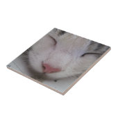 寝猫 タイル (側面)