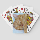 寝猫 トランプ (裏面)