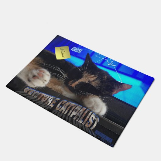 寝猫 ドアマット (アングル)