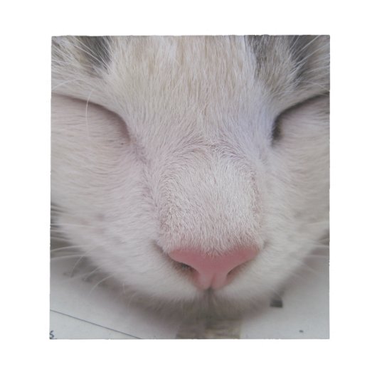 寝猫 ノートパッド (正面)