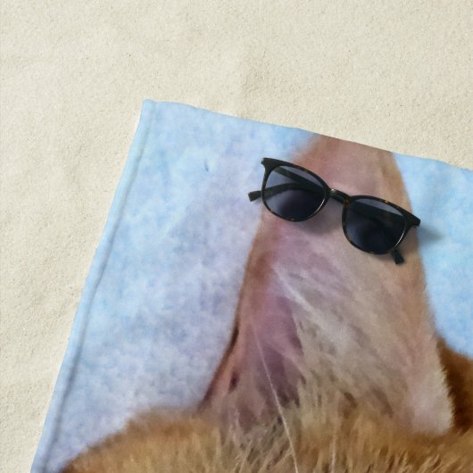 寝猫 ビーチタオル (インサイチュ)