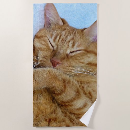 寝猫 ビーチタオル (正面)