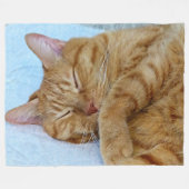 寝猫 フリースブランケット (正面(横))