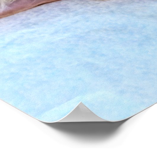 寝猫 ポスター (角)