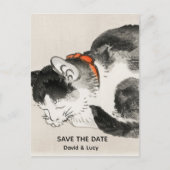 寝猫 ポストカード (正面)