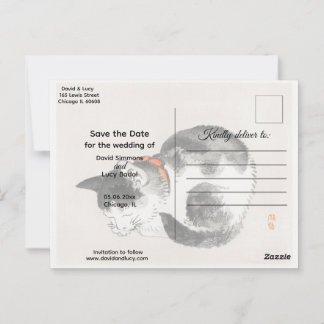 寝猫 ポストカード