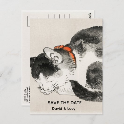 寝猫 ポストカード (正面/裏面)