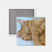 寝猫 マグネット (正面/裏面)