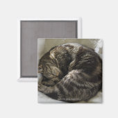 寝猫 マグネット (正面/裏面)
