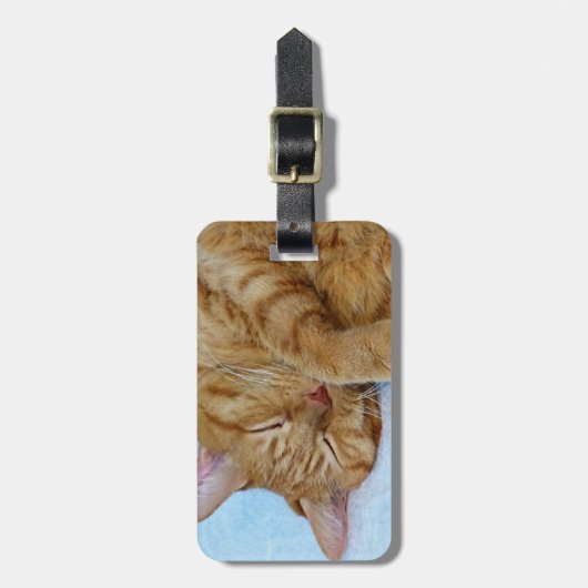 寝猫 ラゲッジタグ (正面縦)