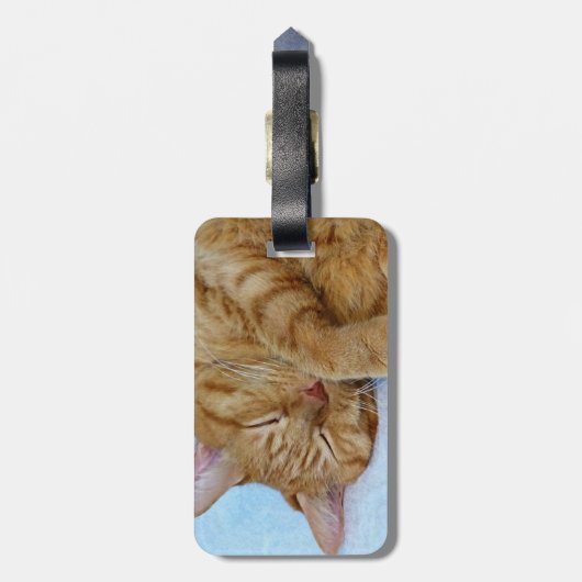 寝猫 ラゲッジタグ (裏面縦)