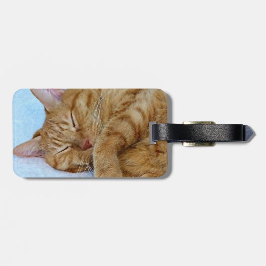 寝猫 ラゲッジタグ (裏面横)