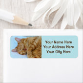 寝猫 ラベル (インサイチュ)