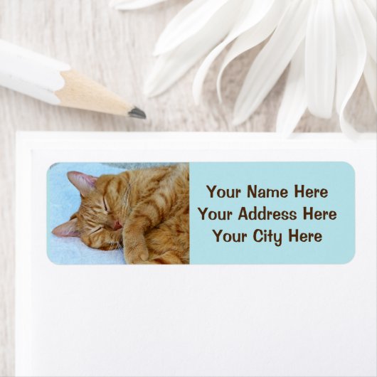 寝猫 ラベル (インサイチュ)