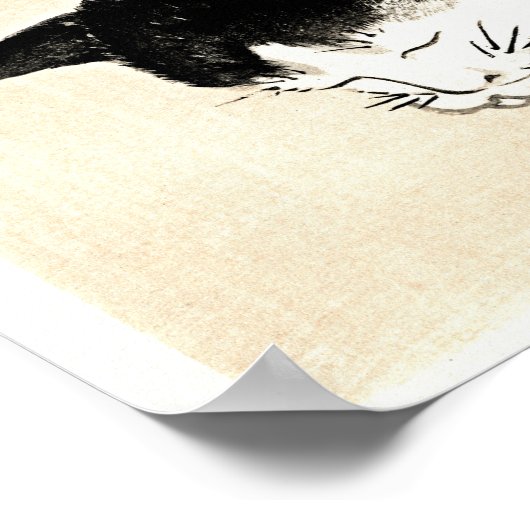 寝猫by河野楳嶺 ポスター (角)