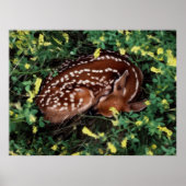 寝顔 ポスター (正面)