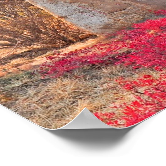 寺中国の ポスター (角)