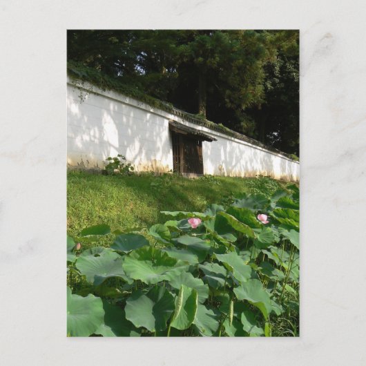 寺堀の蓮花 ポストカード (正面)