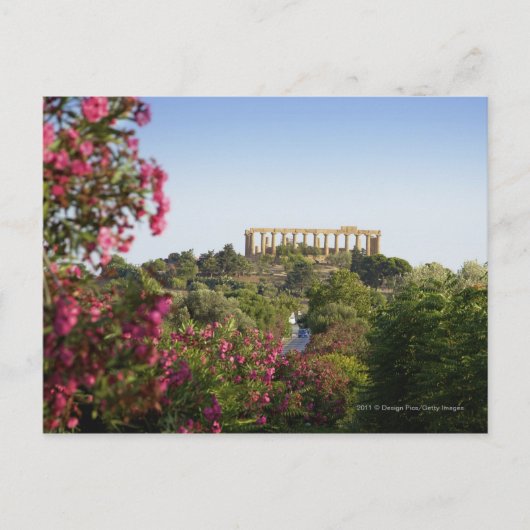 寺院の谷の外で ポストカード (正面)