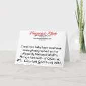 対のひな鳥の母の日カード カード (裏面)