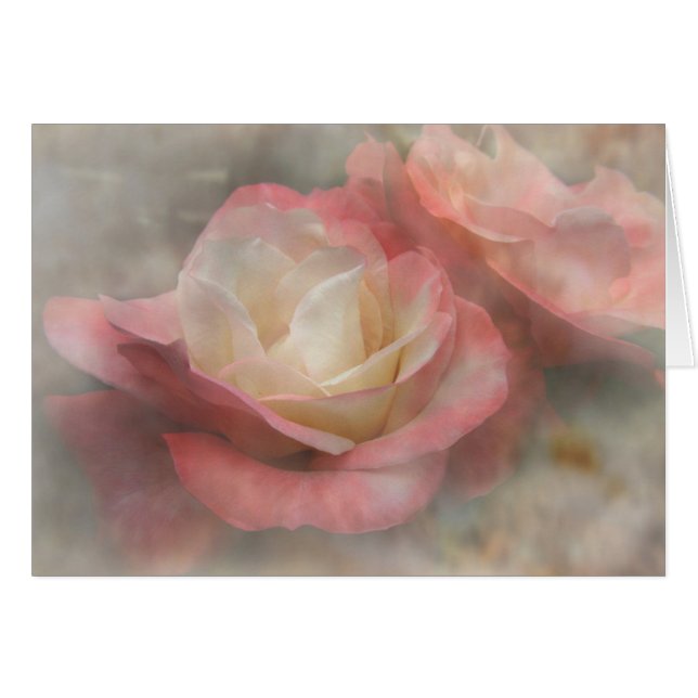 対のバラ (正面横)