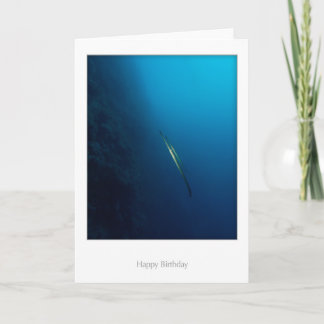 対のCornetteの魚のバースデー・カード カード