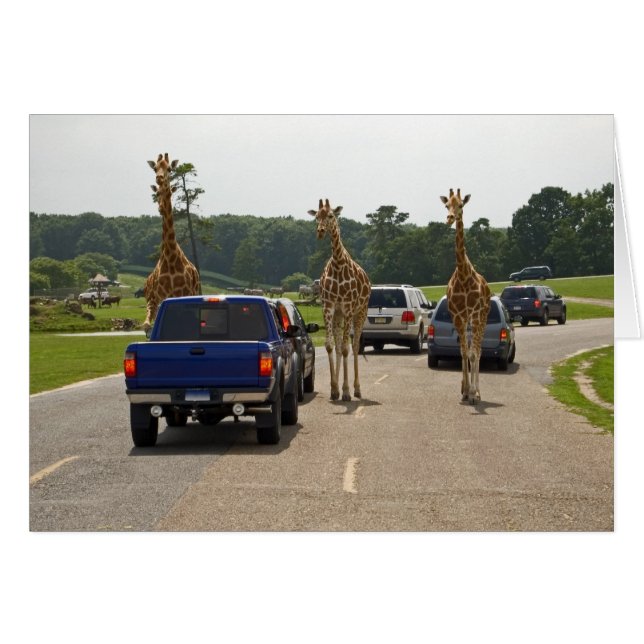 対向車 (正面横)