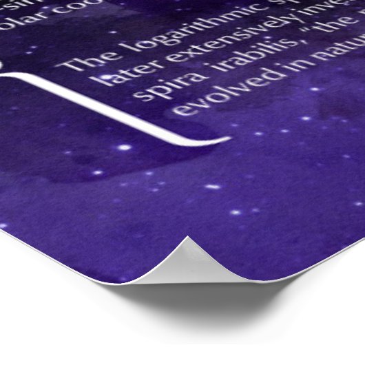 対数緩和曲線 ポスター (角)