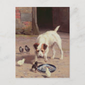 対決 ポストカード (正面)