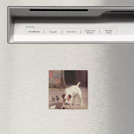 対決 マグネット (インサイチュ (食洗機))