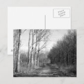 対象オランダはがき ポストカード (正面/裏面)