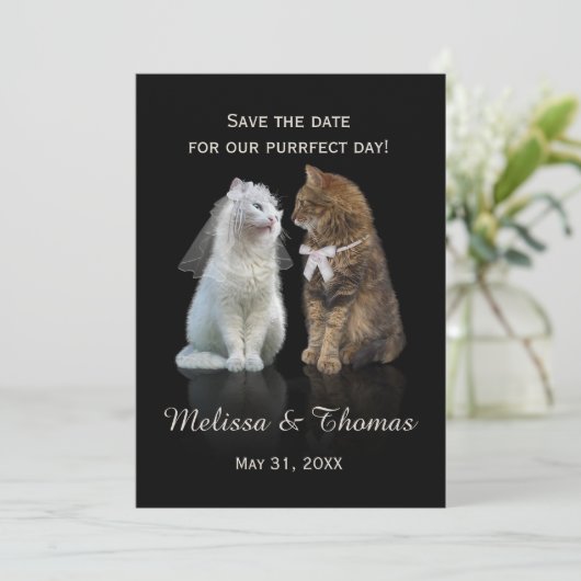 対象日の保存日 (スタンド正面)