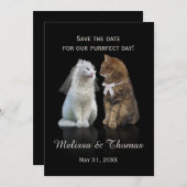 対象日の保存日 (正面/裏面)