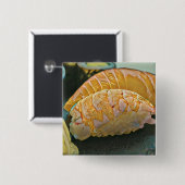 寿司の恋人ギフト 缶バッジ (正面&裏面)