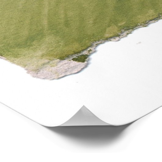 寿司猫てんぷら丼 ポスター (角)