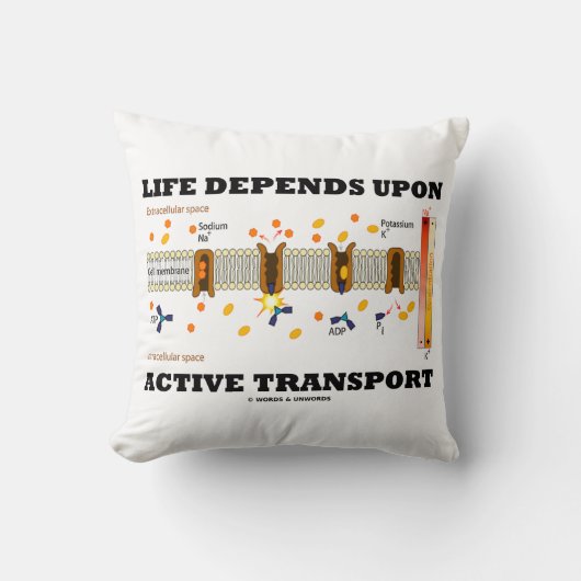 寿命はアクティブ輸送Na-Kポンプに依存 クッション (正面)