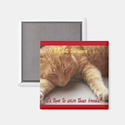 寿命もしが重感動的過ぎるマグネット猫2b マグネット (正面/裏面)