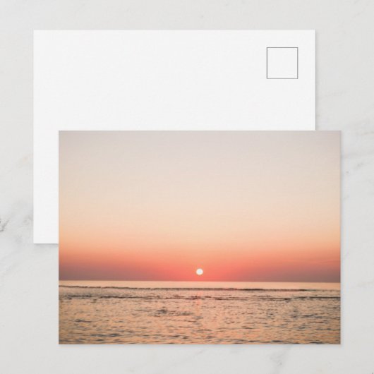 寿寿02 | ポストカード (正面/裏面)