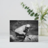 封おもしろい止 ポストカード (スタンド正面)