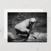 封おもしろい止 ポストカード (正面/裏面)