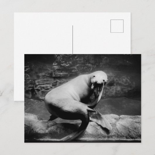 封おもしろい止 ポストカード (正面/裏面)